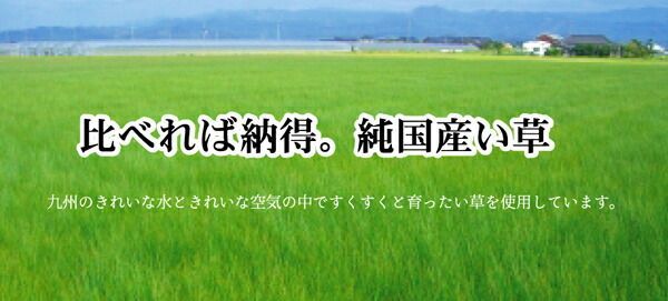 い草 花ござ/ラグマット 【ブロック柄 グリーン 江戸間3畳 174×261cm】 日本製 耐久性抜群 抗菌 防臭 調湿 〔リビング〕【代引不可】 い草 ブロック柄 花ござ&frasl;ラグマット 江戸間8畳 ds-い草 〔江戸間3畳
