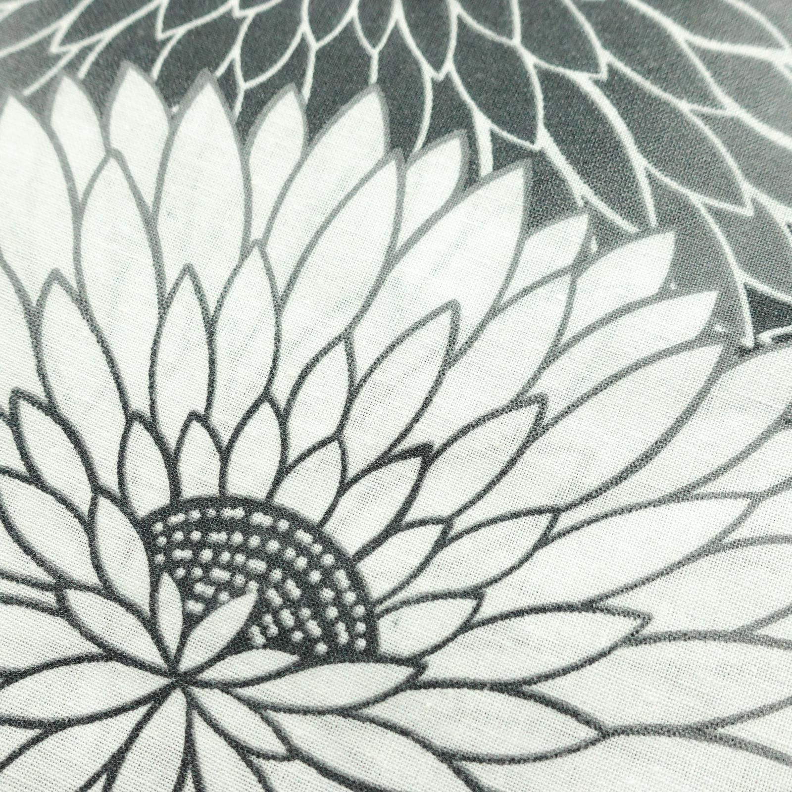 菊 黒