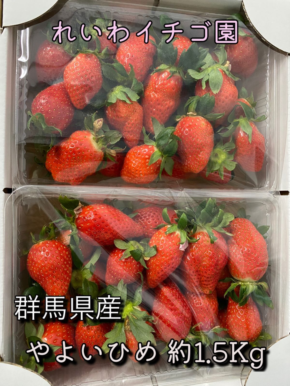 格安店 いちご 箱込み約750g 超特大 bathandtile.co.nz