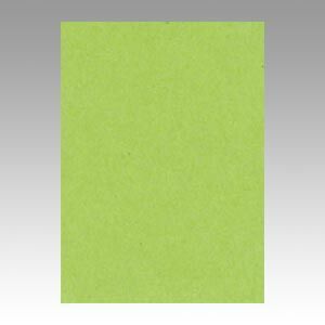 （まとめ） 色画用紙 文運堂 ニューカラーＲ 黄緑 4NCR-212 4954022642129 1冊【×5セット】