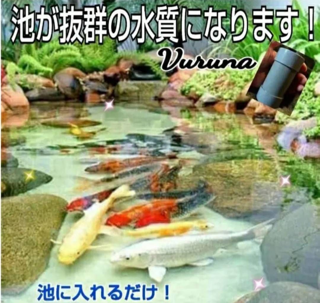 池の透明度アップ！有害物質、病原菌の抑制に抜群！ヴァルナ池用☆500トン浄化！ - メルカリ