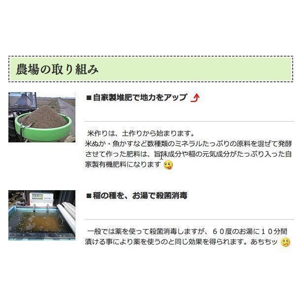 1等10kg