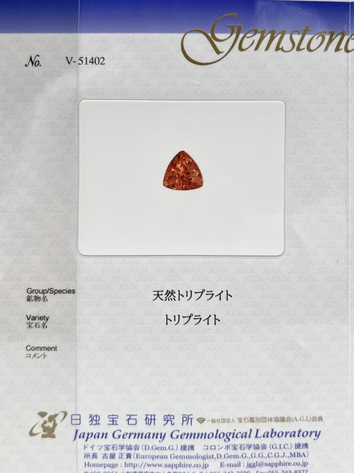 JGGLミニ鑑別付属