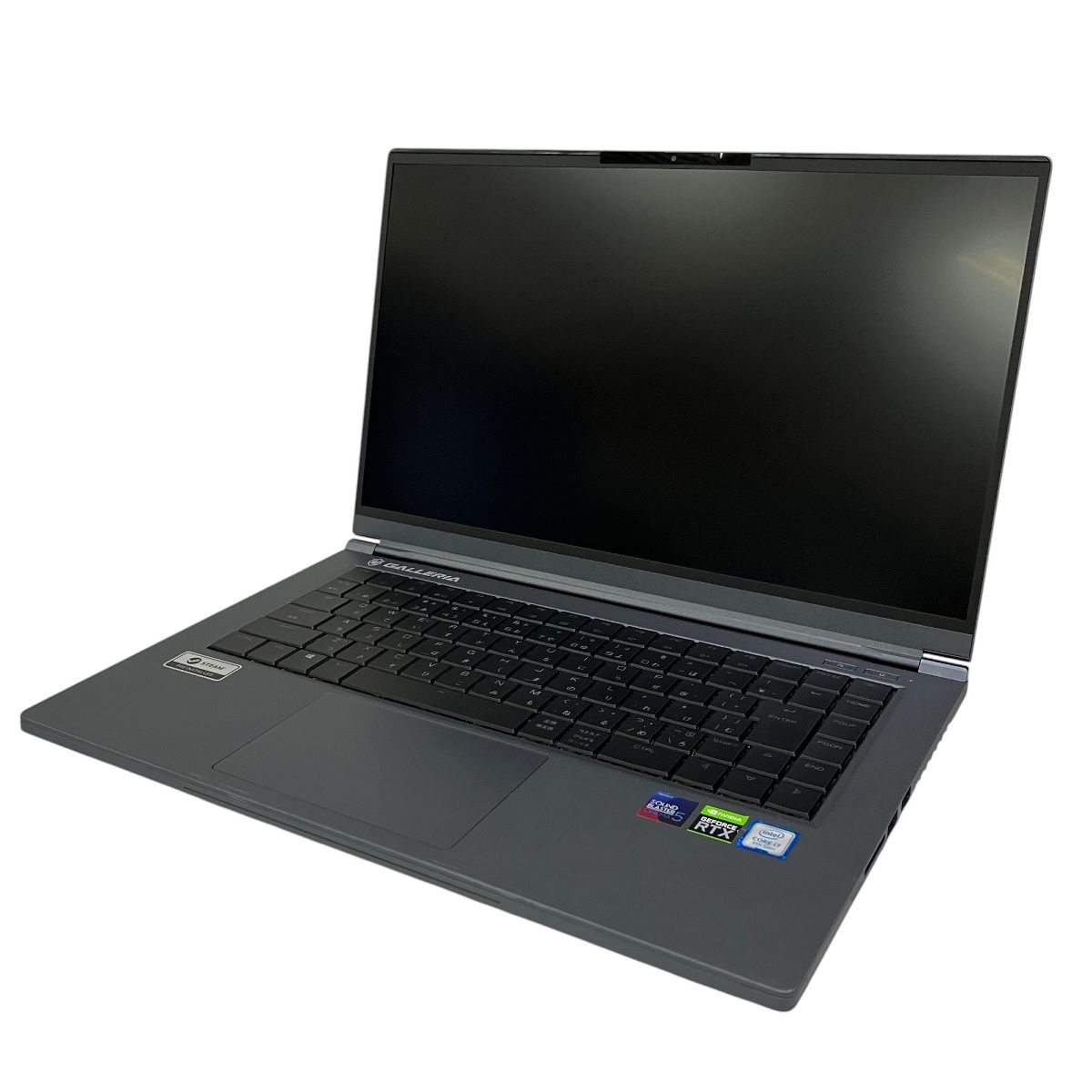 Galleria GCR2070RGF-QC-G(1TB+1TB)