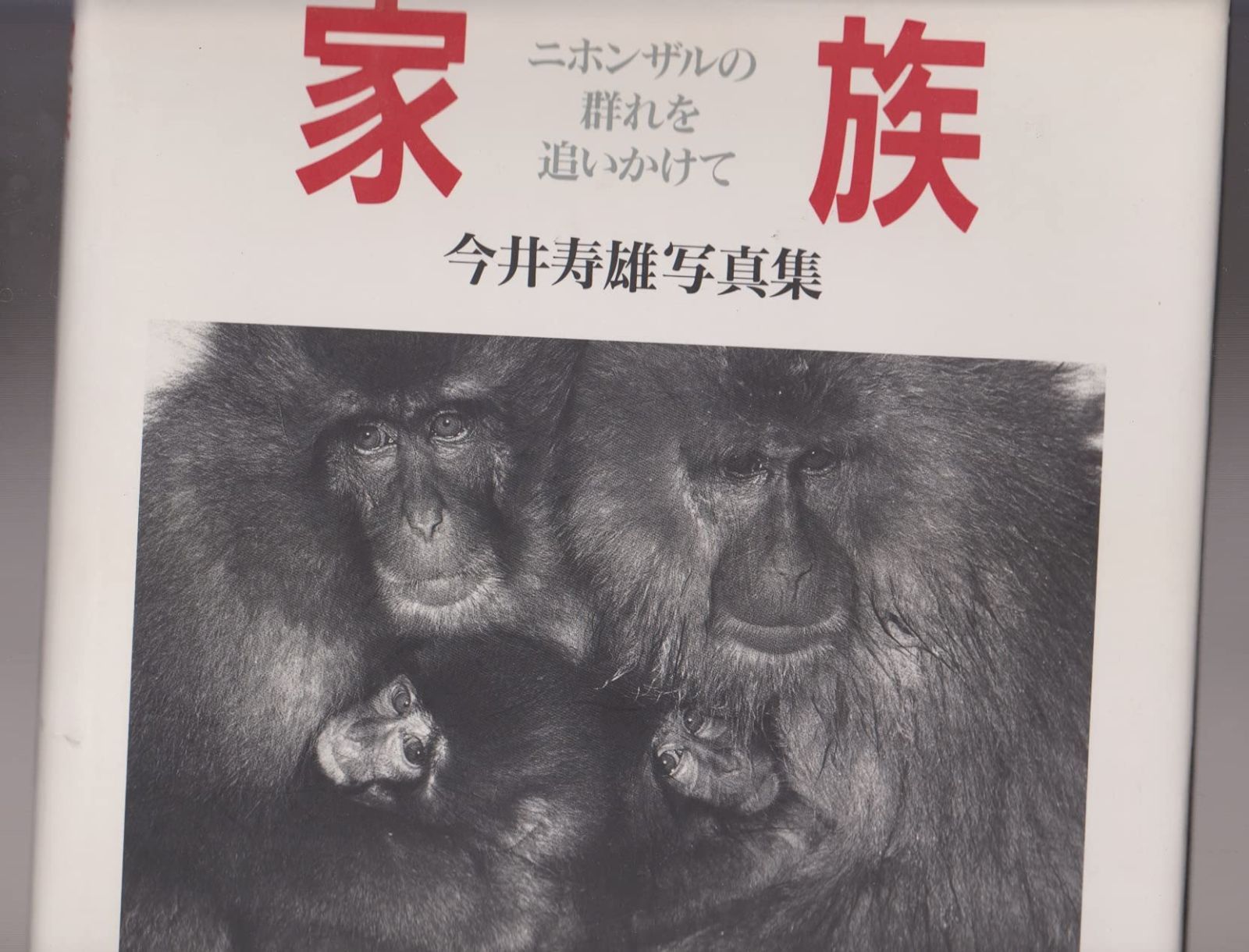【本】家族: ニホンザルの群れを追いかけて /クレオ / /K0705-250818-0135 /4877360344