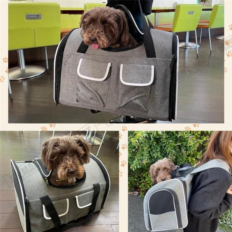 小型犬 中型犬