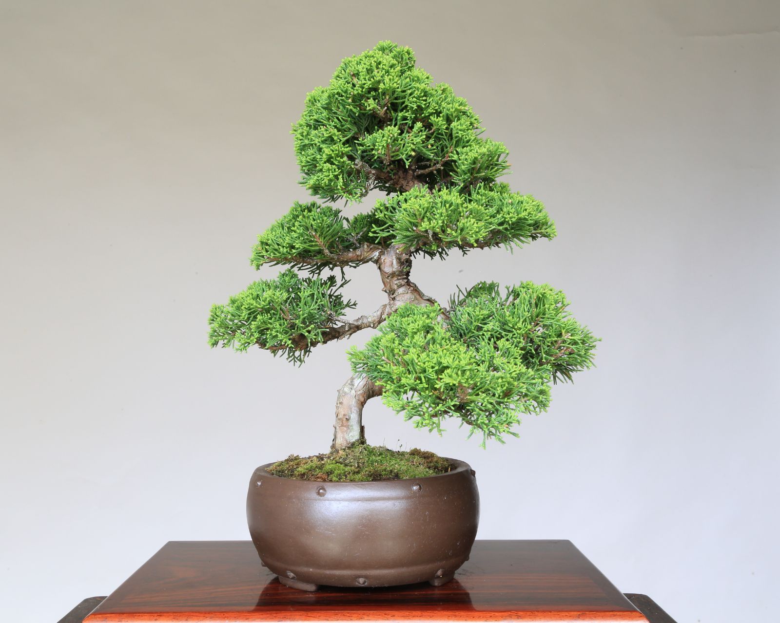 プレゼント 贈答品
