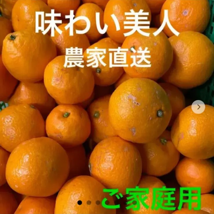 専用有田みかん農家直送味わい美人 有田みかん農家直送🍊ブランド味わい美人訳ありご家庭用サイズ