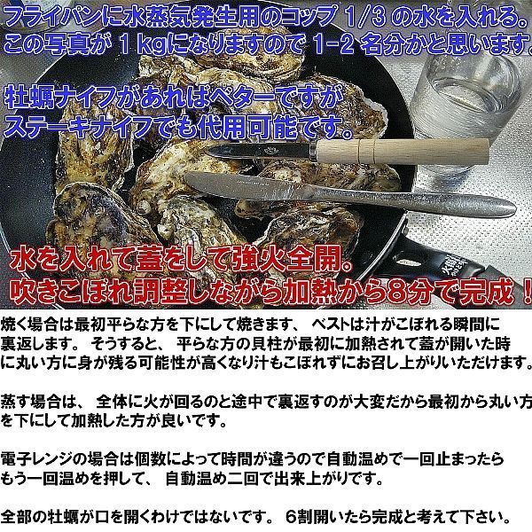 【新生牡蠣スタートです】「生食用殻付き牡蠣　1ｋｇ」【九州、沖縄は別出品を】約１０個前後【60】貝 貝類 松島牡蠣屋 生牡蠣  カキ 牡蛎 kaki かき