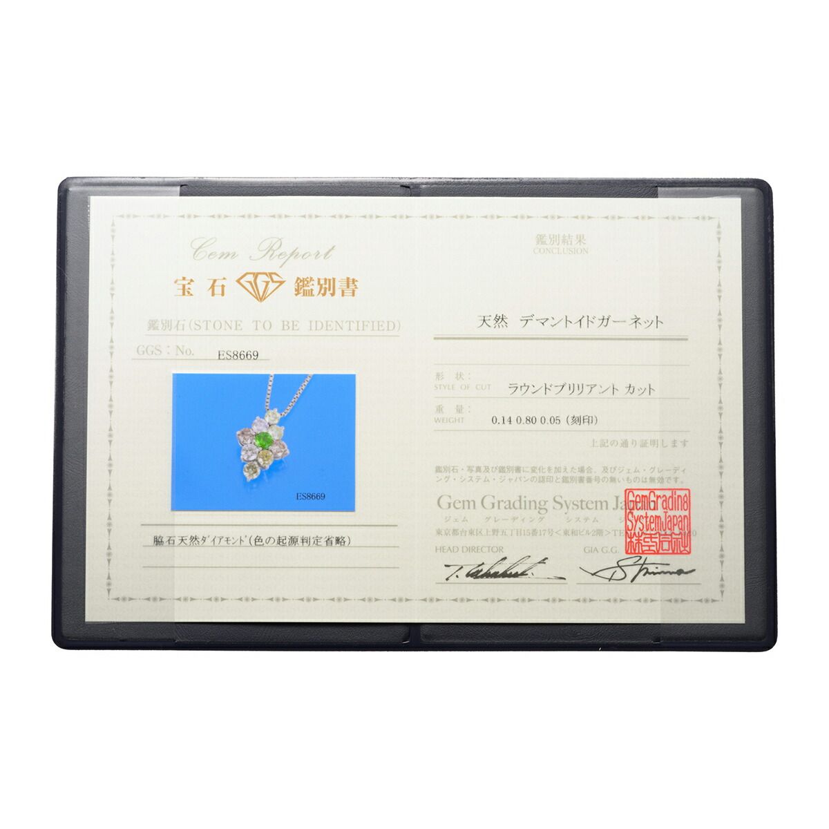 マルチカラーペンダントネックレス ガーネット ダイヤモンド Pt900  