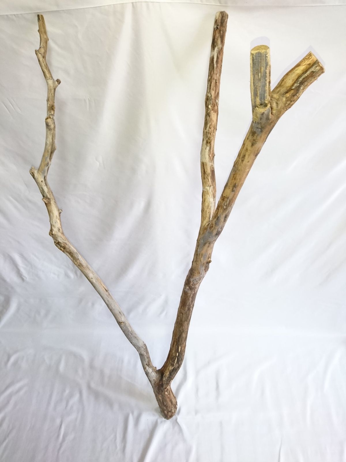 特大流木 高さ117cm × 幅50cm × 奥行45cm【超特大サイズ・特殊形状】天然
