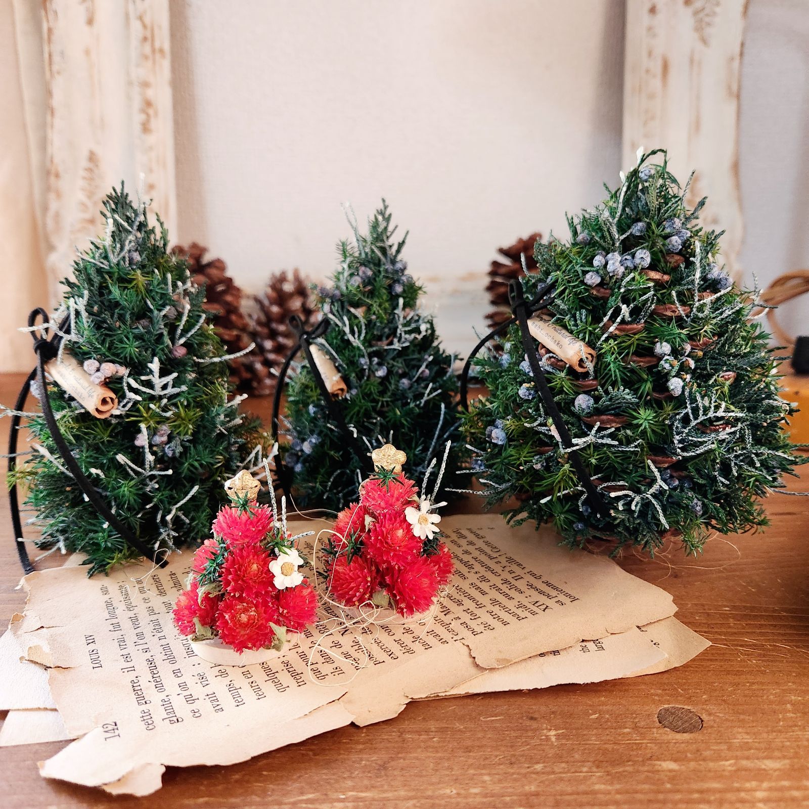 🍓ストロベリーフィールドの小人ツリー🎄〗千日紅 ドライ