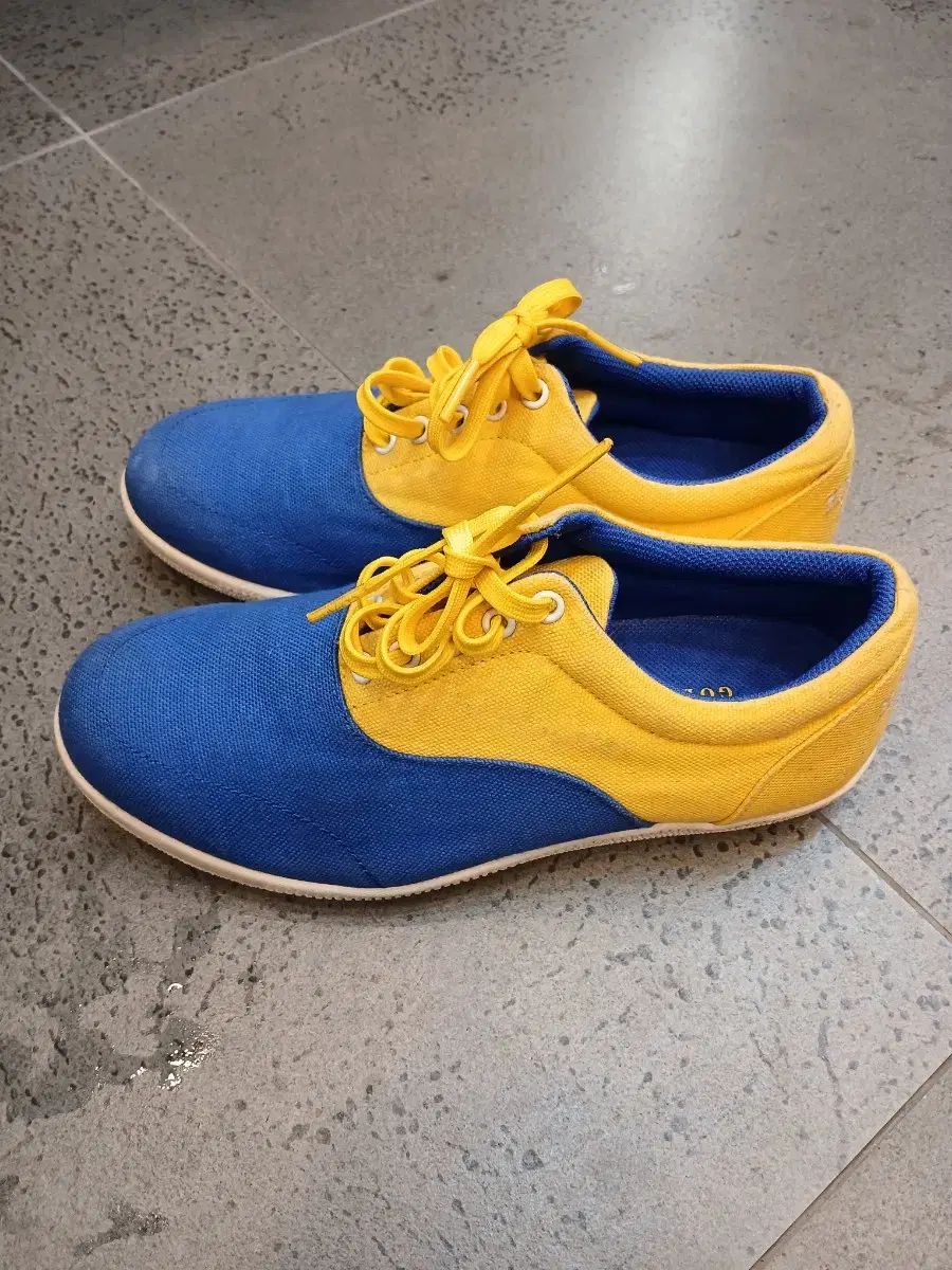 HAZZYS へジス