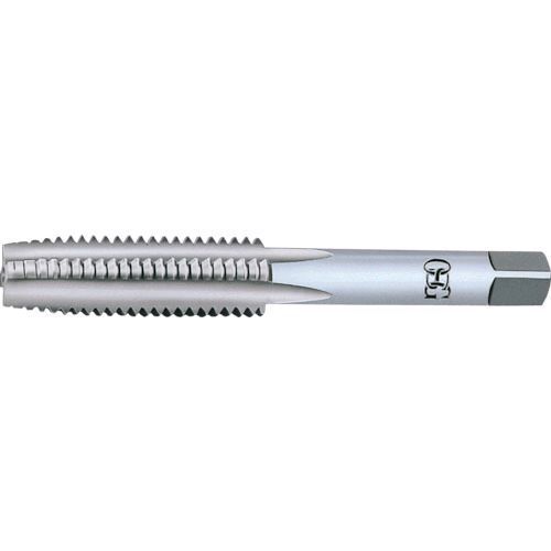 来年の干支　阿食慎太郎　馬の水彩画　掛け軸 アウトレット 来年の干支 阿食慎太郎 馬の水彩画 掛け軸