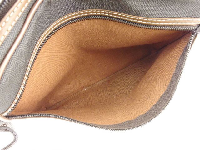 風蘭　大株⑨ 風蘭 大株⑨ 【公式通販】