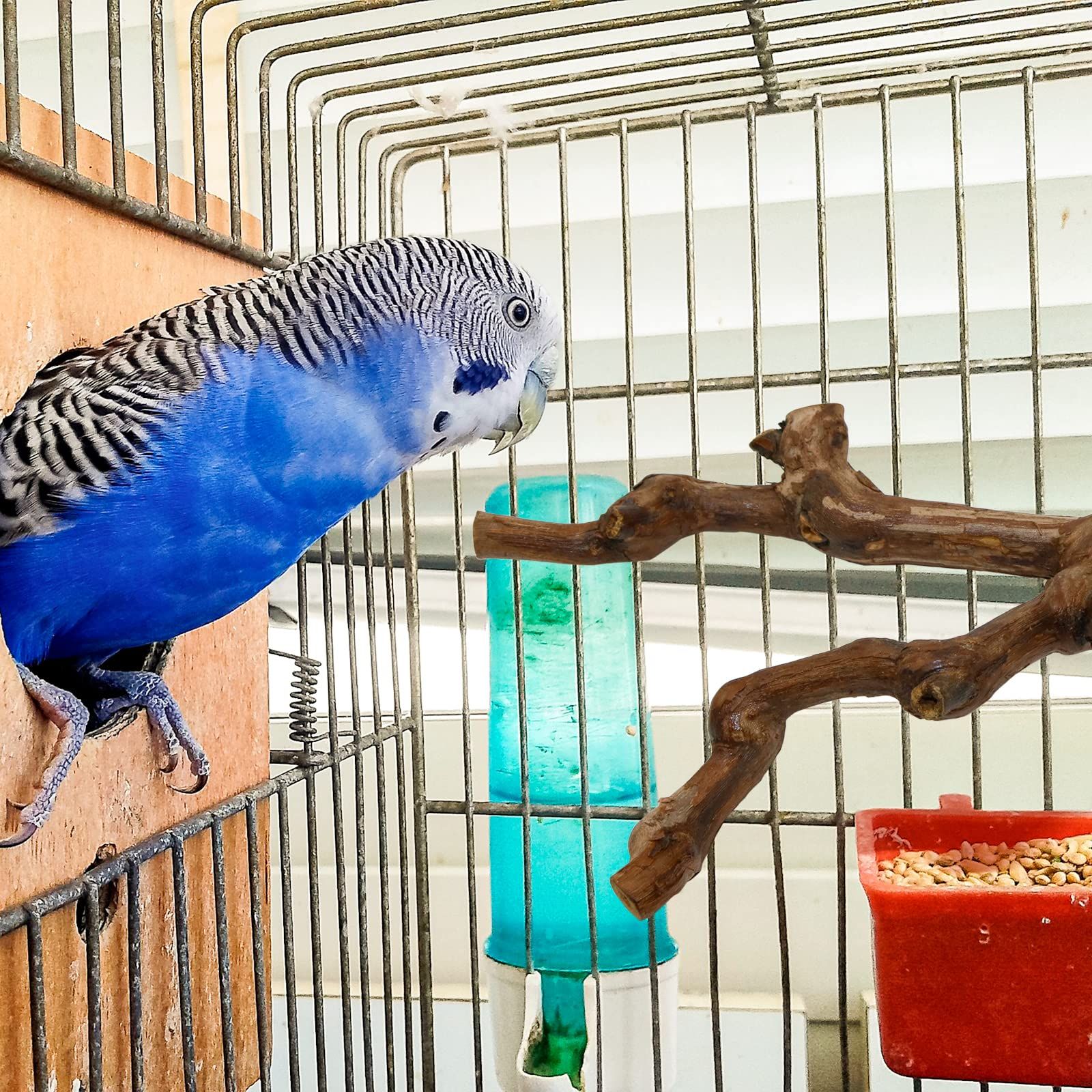 【新品未使用】鳥栖 ケージアクセサリー インコ インコ インコ インコ オウム オウム インコ ケージスタンド 取り付け簡単 セキセイインコ ストレス解消 おもちゃ おもちゃ オカメインコ バランス練習 パーチ 鳥休み場所 文鳥 鳥用品 噛むおもちゃ 鳥おもち