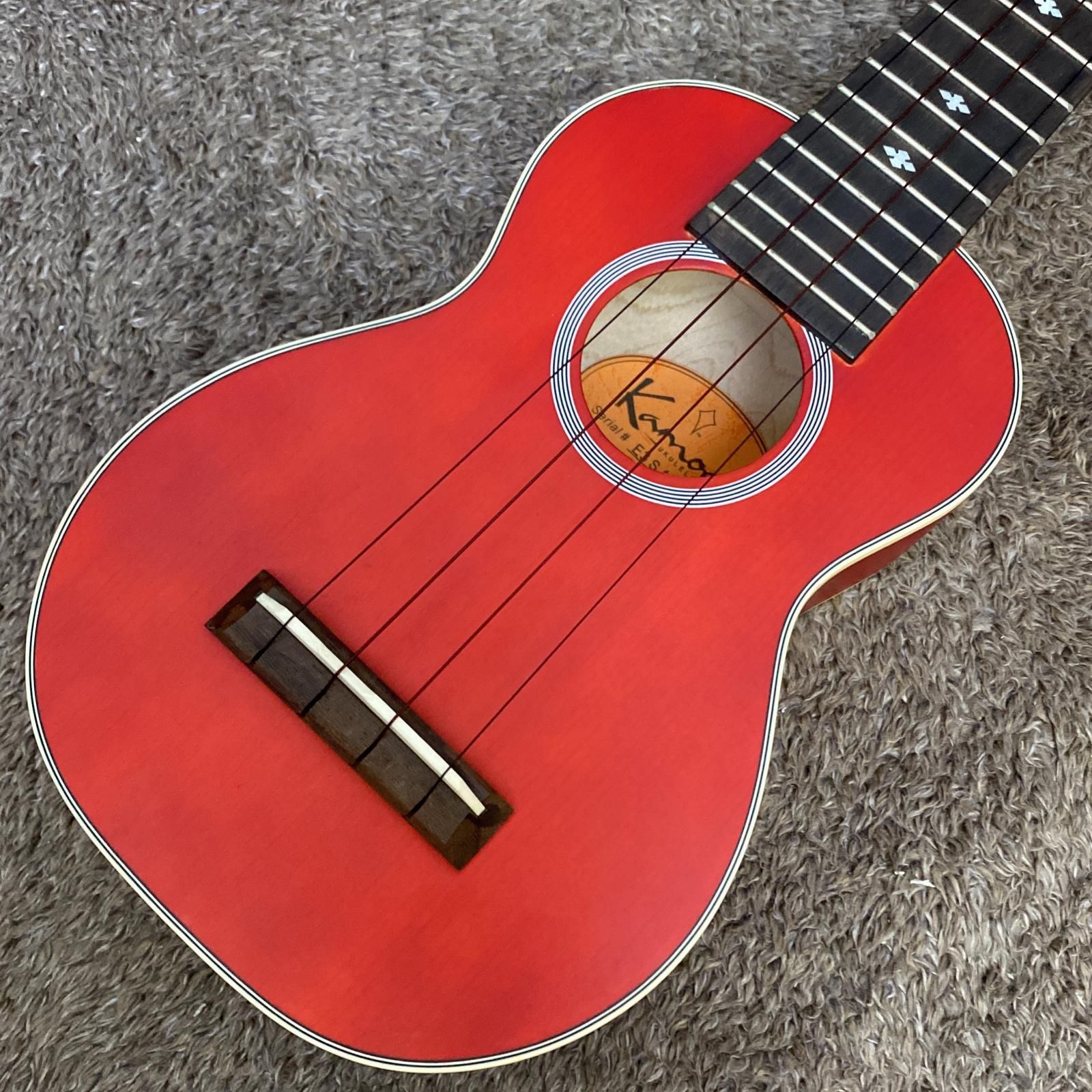 尾張小牧店 楽器 弦楽器 E3-S Kamoa 478