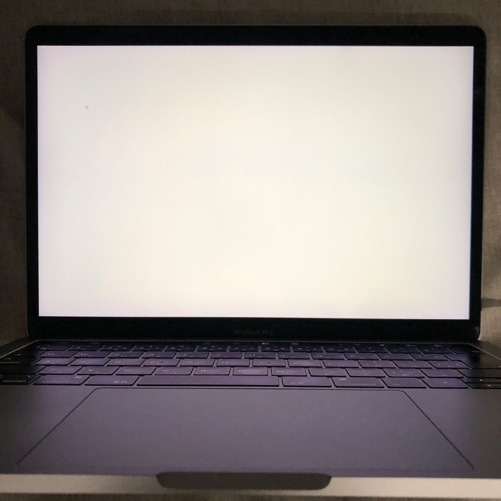 ◇ジャンク品・本体のみ◇Apple MacBook Pro (13インチ, 2018 