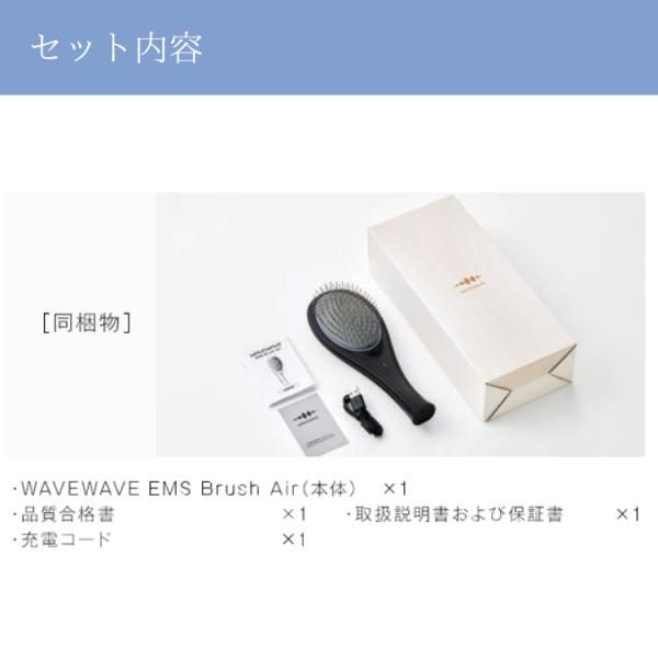 EMS Brush