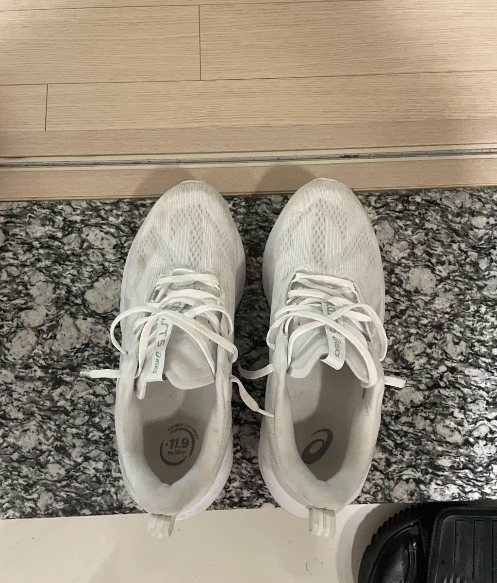 260 Asics アシックス ノバブラスト 5 白 ピードモント グレー