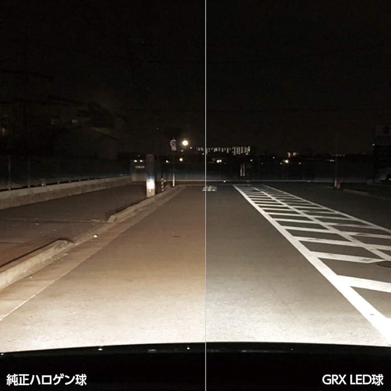 春*秋様 ViViD パネル ( タワレコ当選品 ) 春*秋様 ViViD パネル