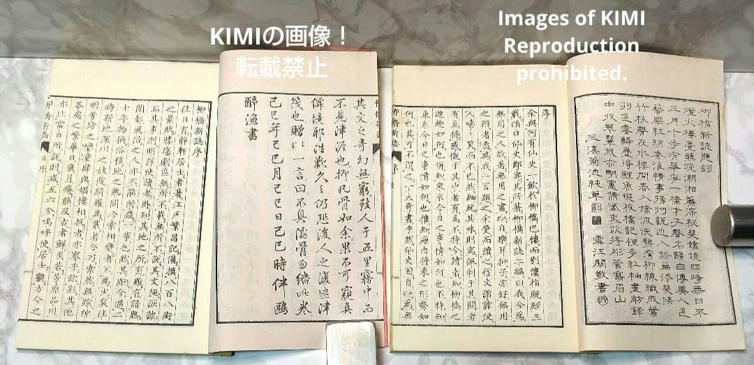 柳橋新誌 単行本 成島柳北 日本近代文学館 二編 完 2冊セット - メルカリ 