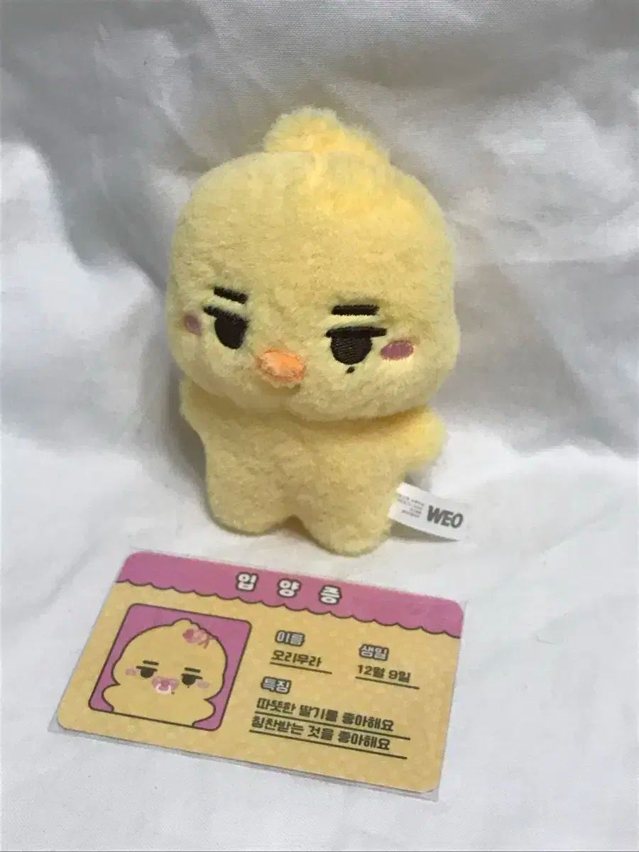 ENHYPEN(エンハイプン・エナプ) ニキ 人形 ぬいぐるみ ぬい