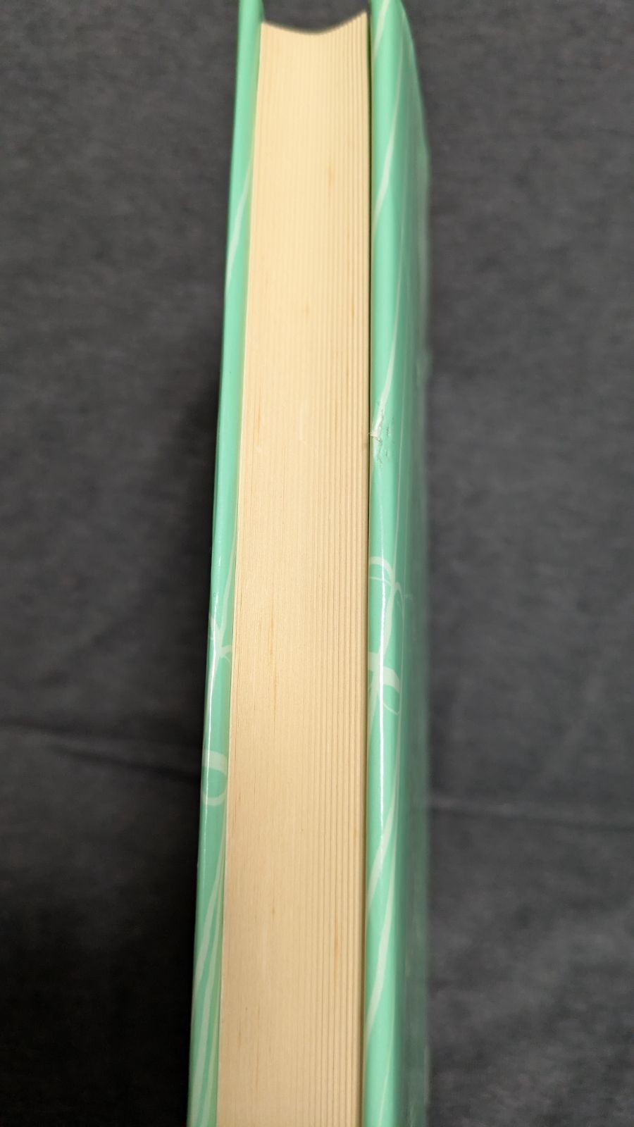 教会オルガニスト教本 (佐々木しのぶ/日本基督教団出版局) 竹佐古真希