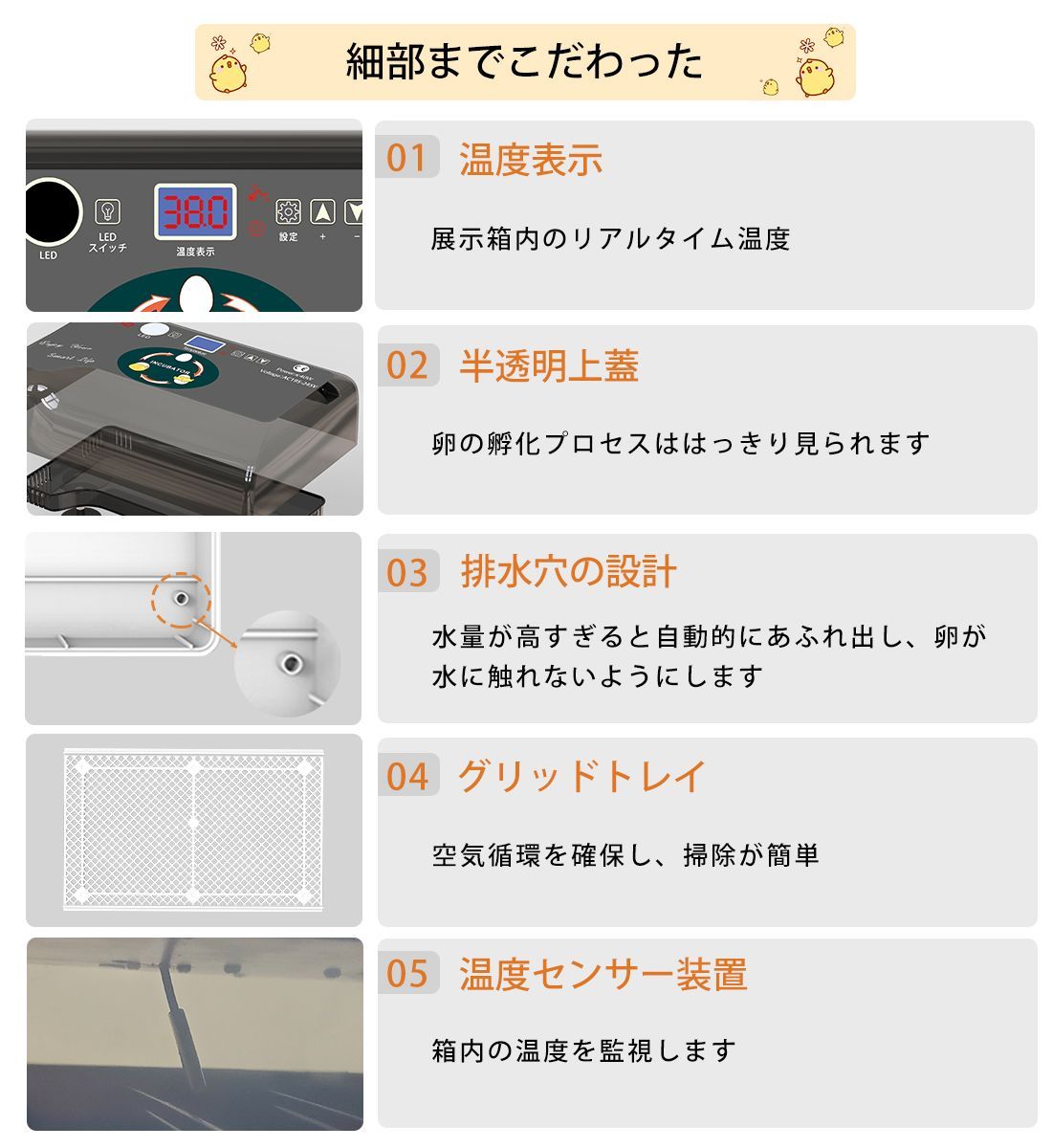 アヒル 鶏卵