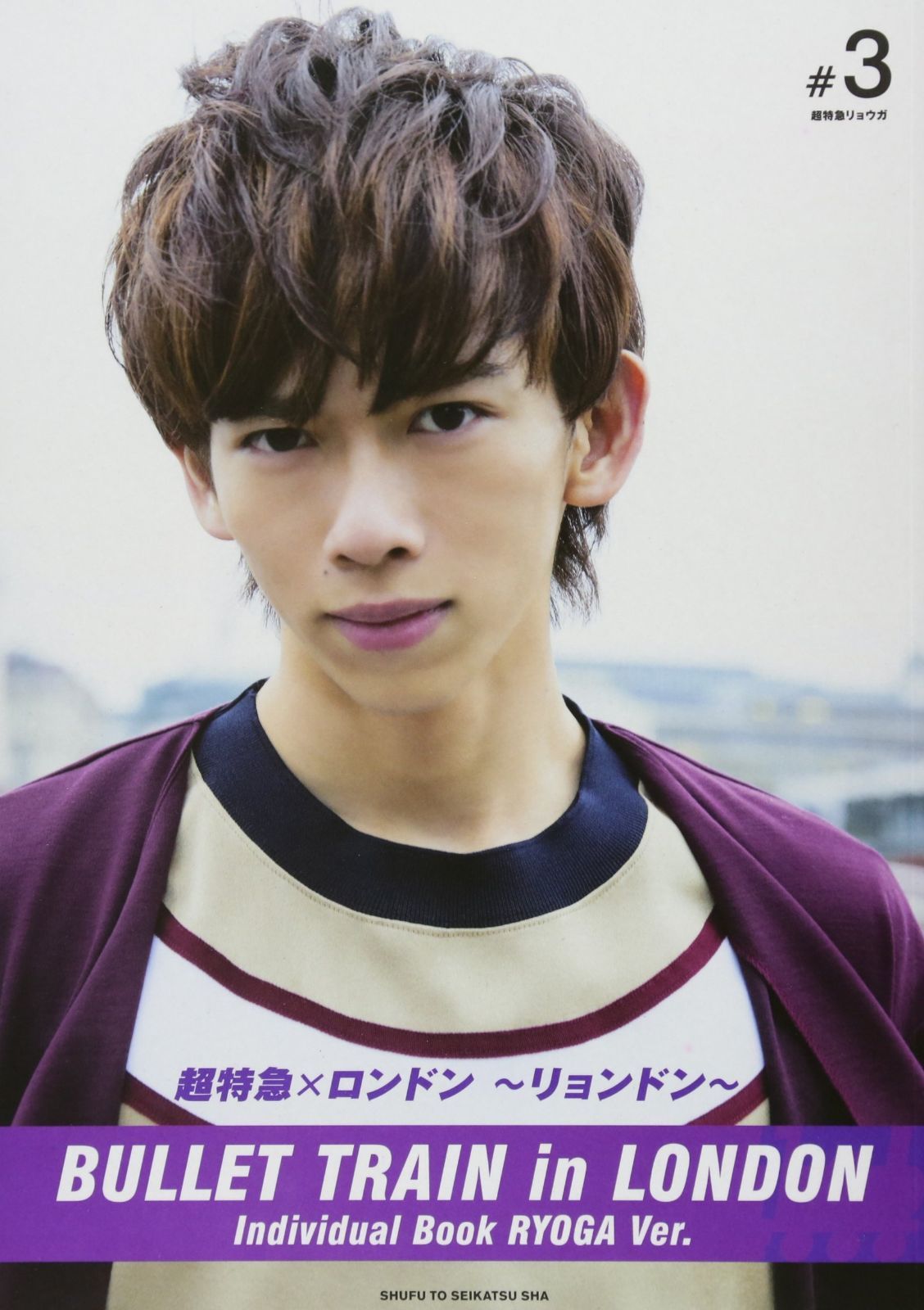 NO20 イワヒバ(岩松) 静岡県 玉川産 30年物 激安の投げ売り大特価