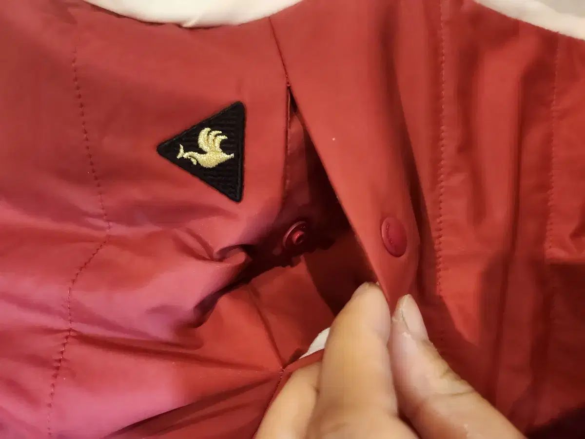 coq sportif