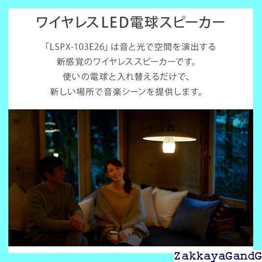 ソニー