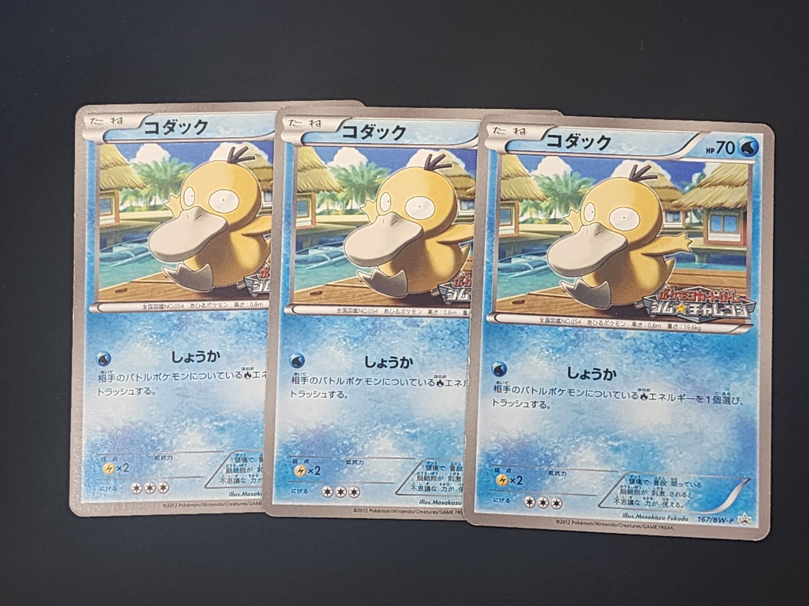 PC ポケモンカード コダック 16|BW-P 3枚セット ジム チャレンジ 商品説明文