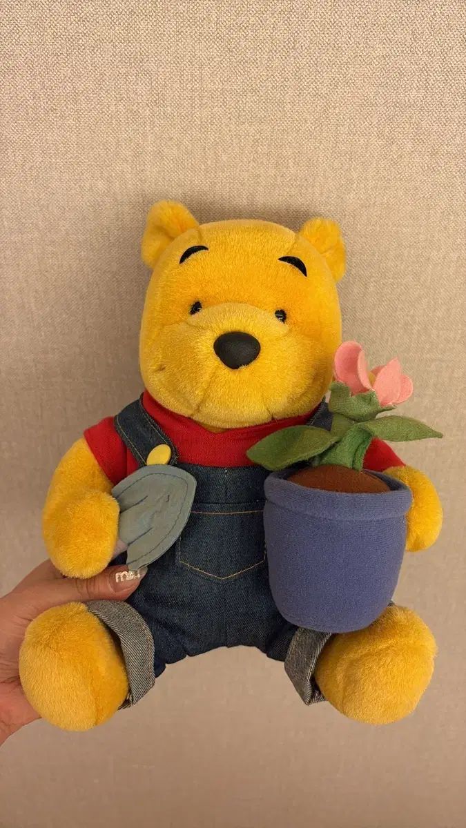 中古本】国別 世界食文化ハンドブック 中古】 国別 世界食文化ハンドブック