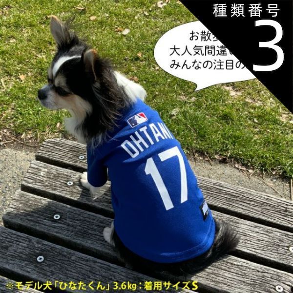種類3：S-Mサイズ/ブルー ドジャース 大谷ジャージ ホワイト ブルー 