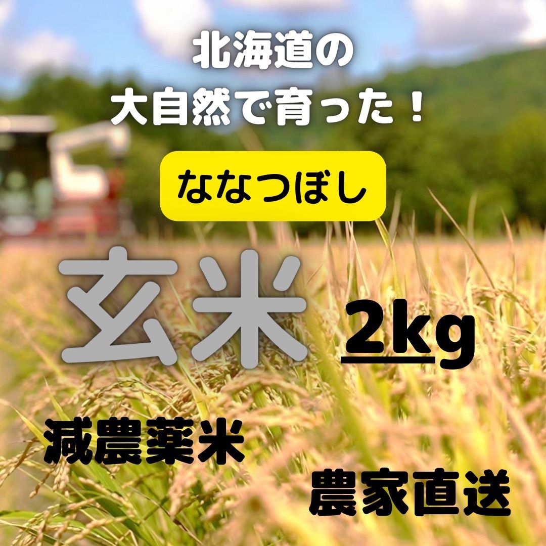 "農家直送" 令和5年 北海道産 減農薬 ななつぼし　玄米2kg