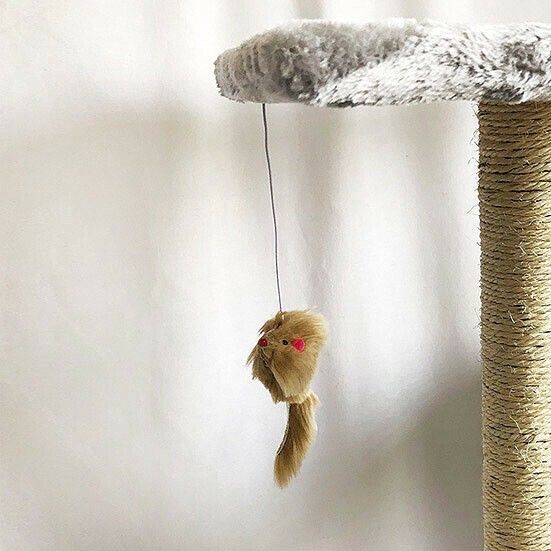 ♪据え置きキャットタワー