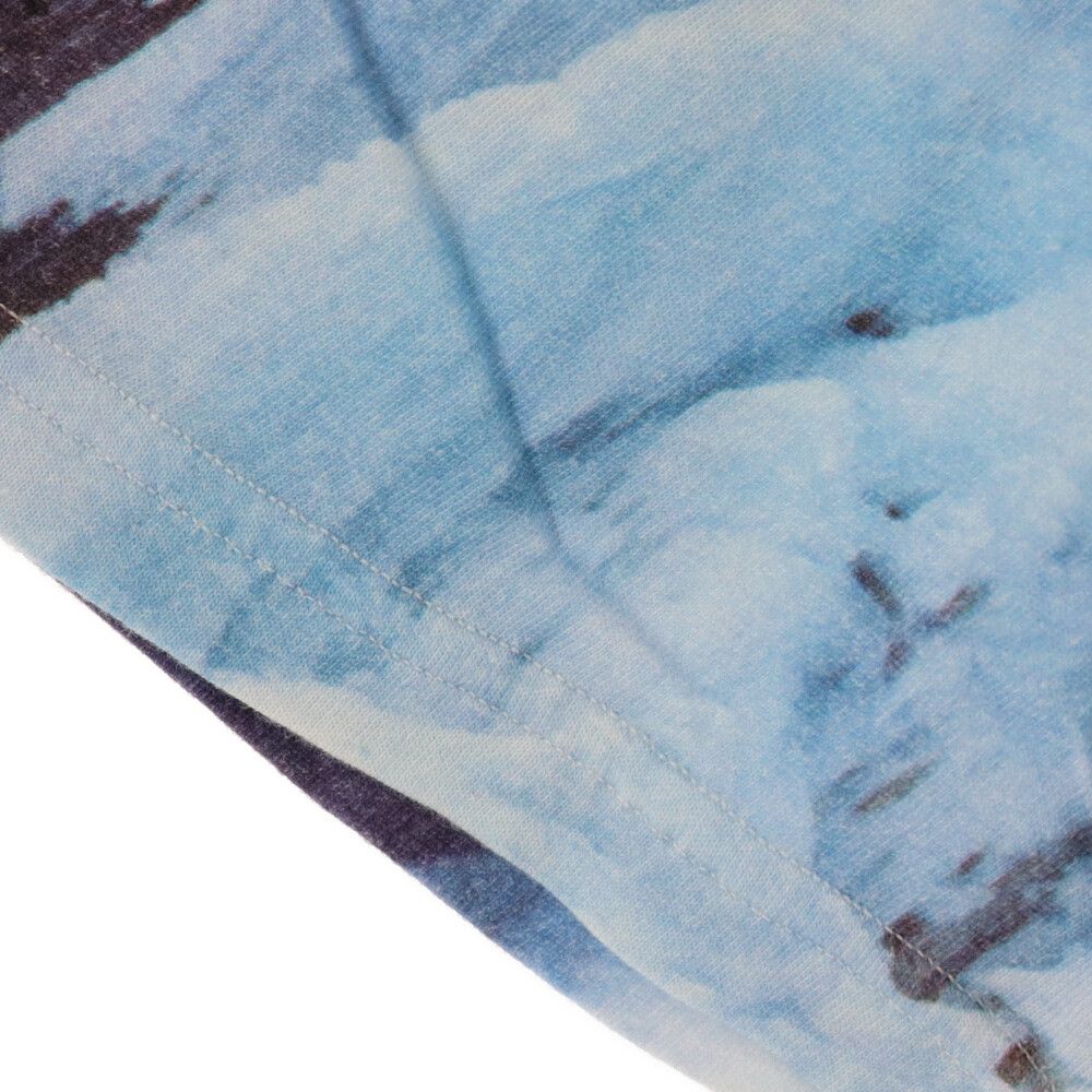 SUPREME (シュプリーム) 21SS×THE NORTH FACE Ice Climb Tee アイス