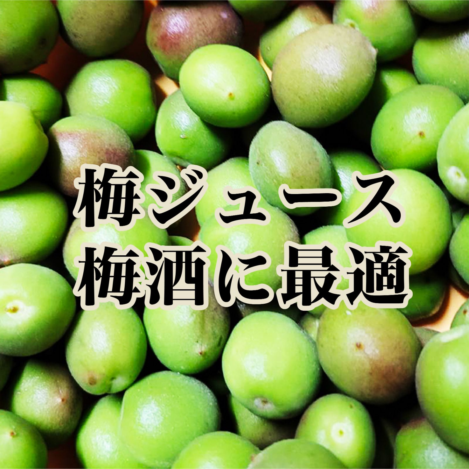 げん様 紀州南高梅
