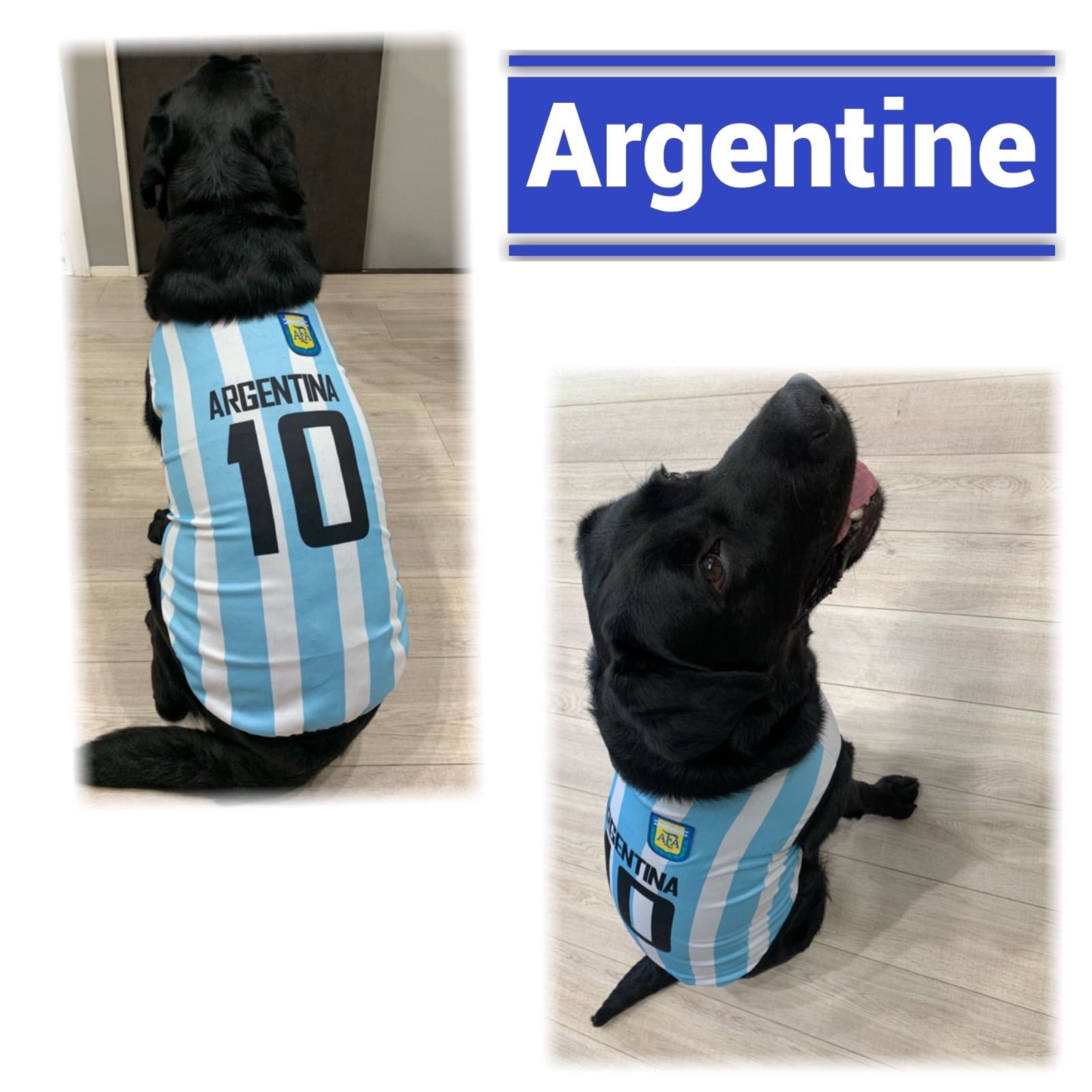アルゼンチン代表 ユニフォーム（ペット・ペットグッズ）の通販