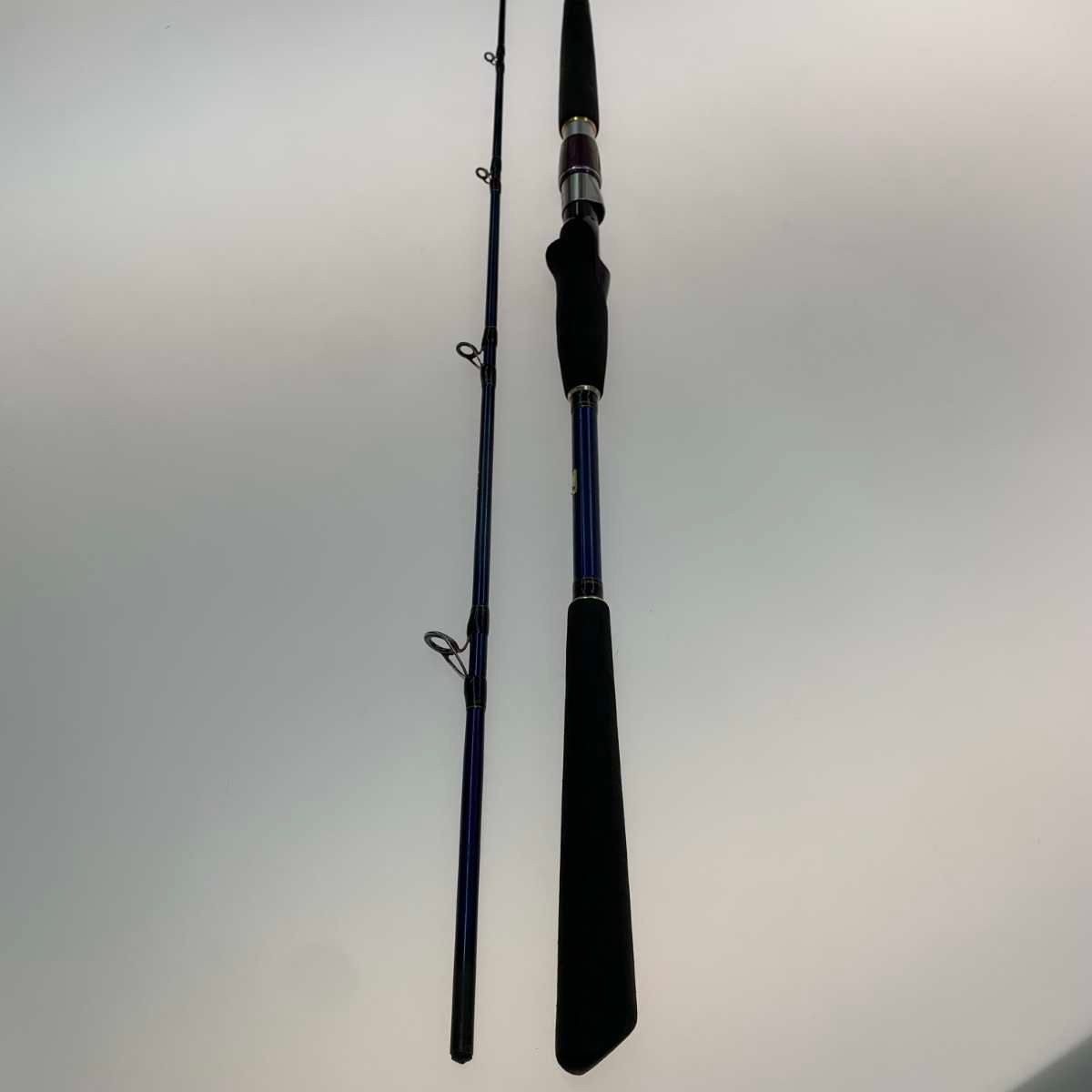 ○○DAIWA ダイワ ロッド 船竿 先鋭剣崎 100-170MT 05295142 DAIWA