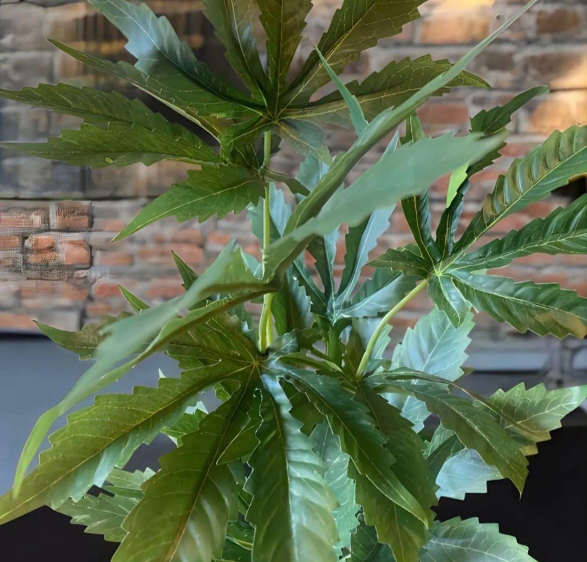 光触媒 フェイクグリーン マリファナ 人工観葉植物 お尻大麻