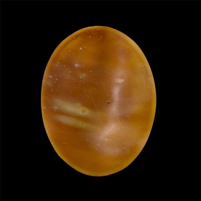 ◇ AMMENDOLLA【アメンドーラ】シェルカメオ ルース 約85.16mm