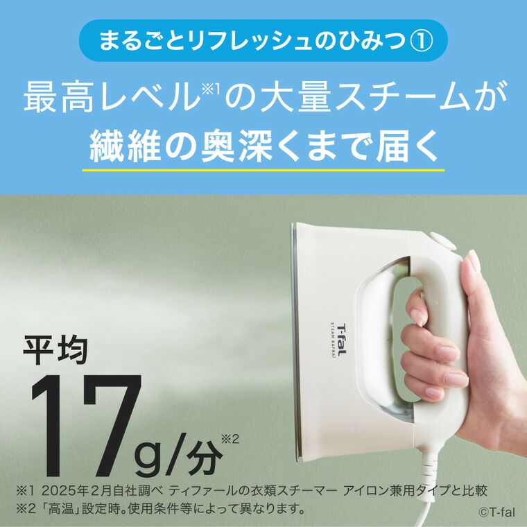 T-fal スチーム ラフレ DV8070J0 DV8075J0 アイボリーホワイト