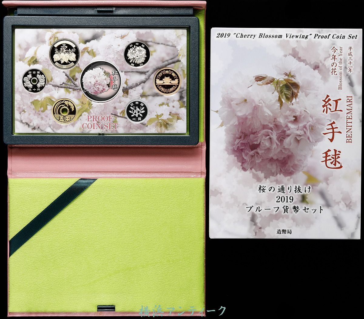 紅手毬 2019年 桜 通り抜け 銀貨