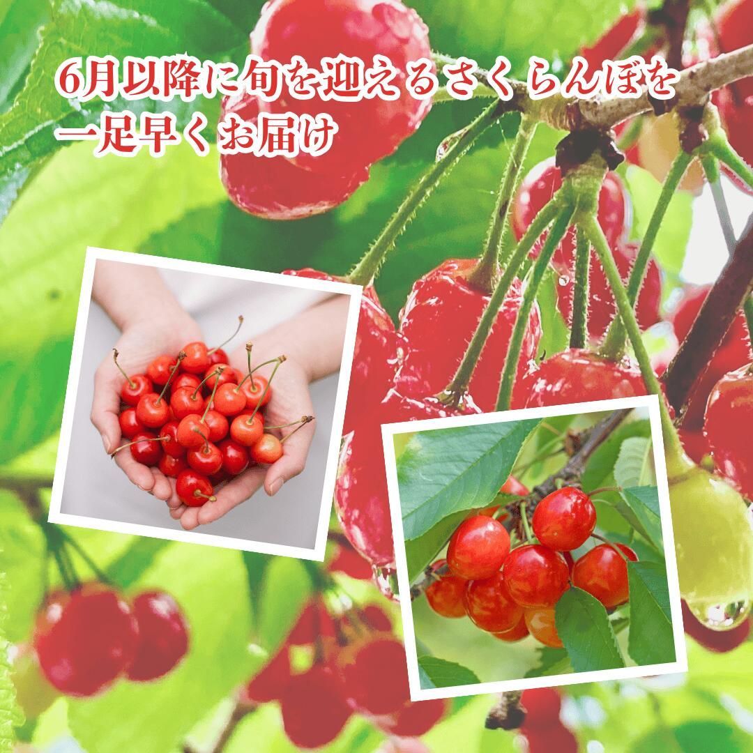 約300g 化粧箱