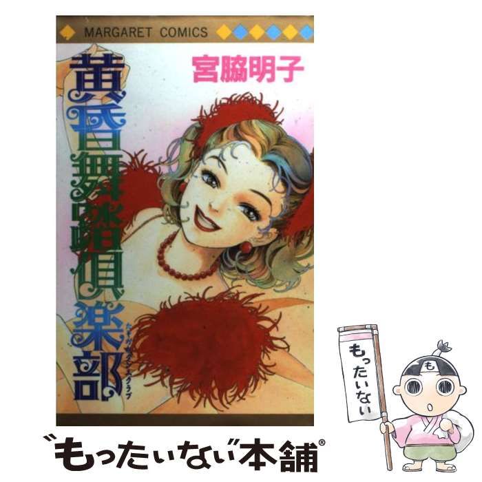 和久洋三の童具 つみ木・中型 39個 ほるぷ 作例集「ツートンカラー