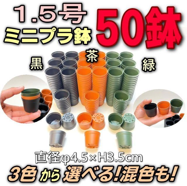 1.5号鉢ミニプラ鉢- [黒/茶/緑/混色] 50鉢＊多肉植物・塊根植物 