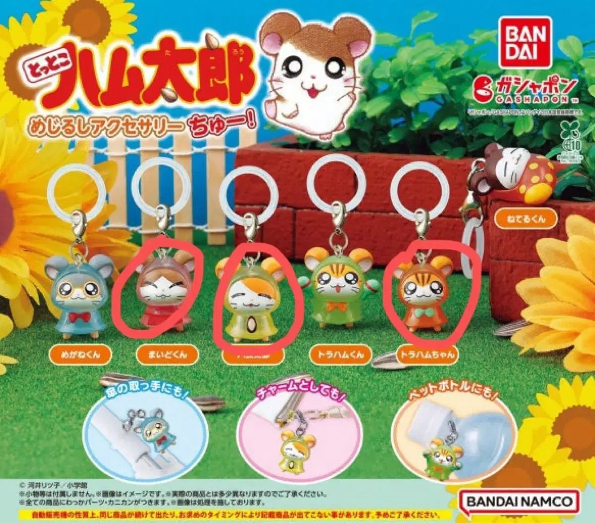 ハム太郎様 リクエスト 3点 まとめ商品 【公式通販】