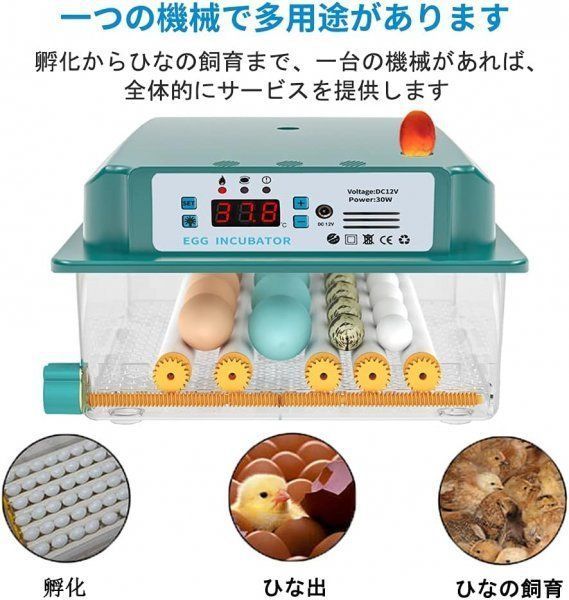 自動転卵式 アヒル